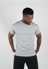 T-shirt Raglan Grey